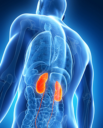 阿西替尼联合阿韦鲁单抗治疗晚期肝细胞癌安全有效