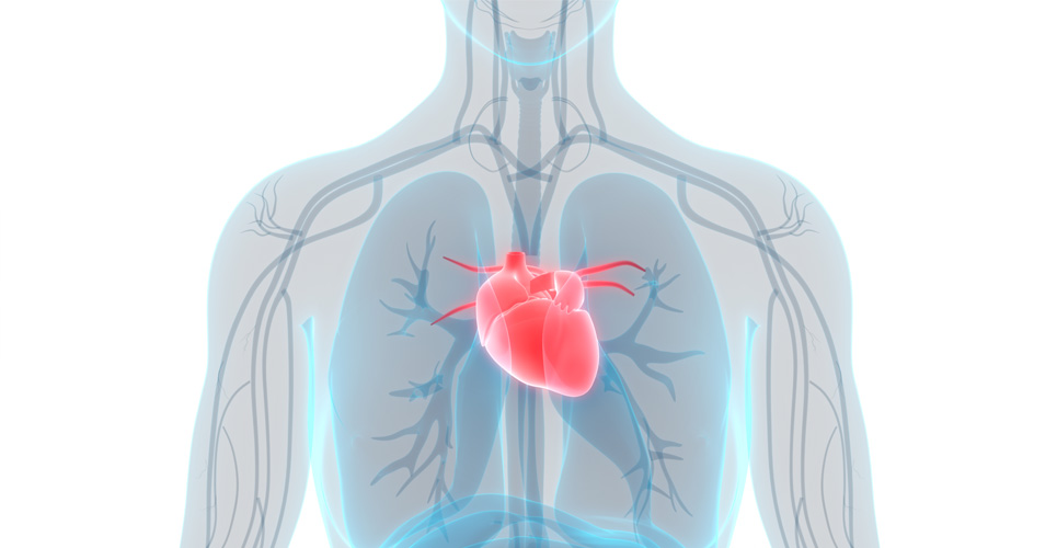 风湿性心脏病药物FDA准许赛乐西帕静脉血管中药制剂用以临时没法内服的病人