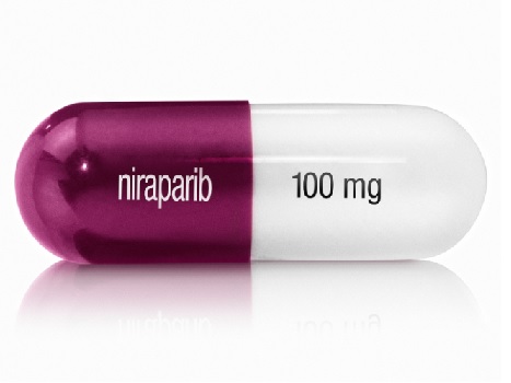 PARP缓聚剂抵制恶性肿瘤提高